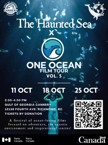 Haunted Sea x One Ocean Film Tour Screenings